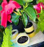 Creamy Rosemary Coconut Whipped Shea butter
